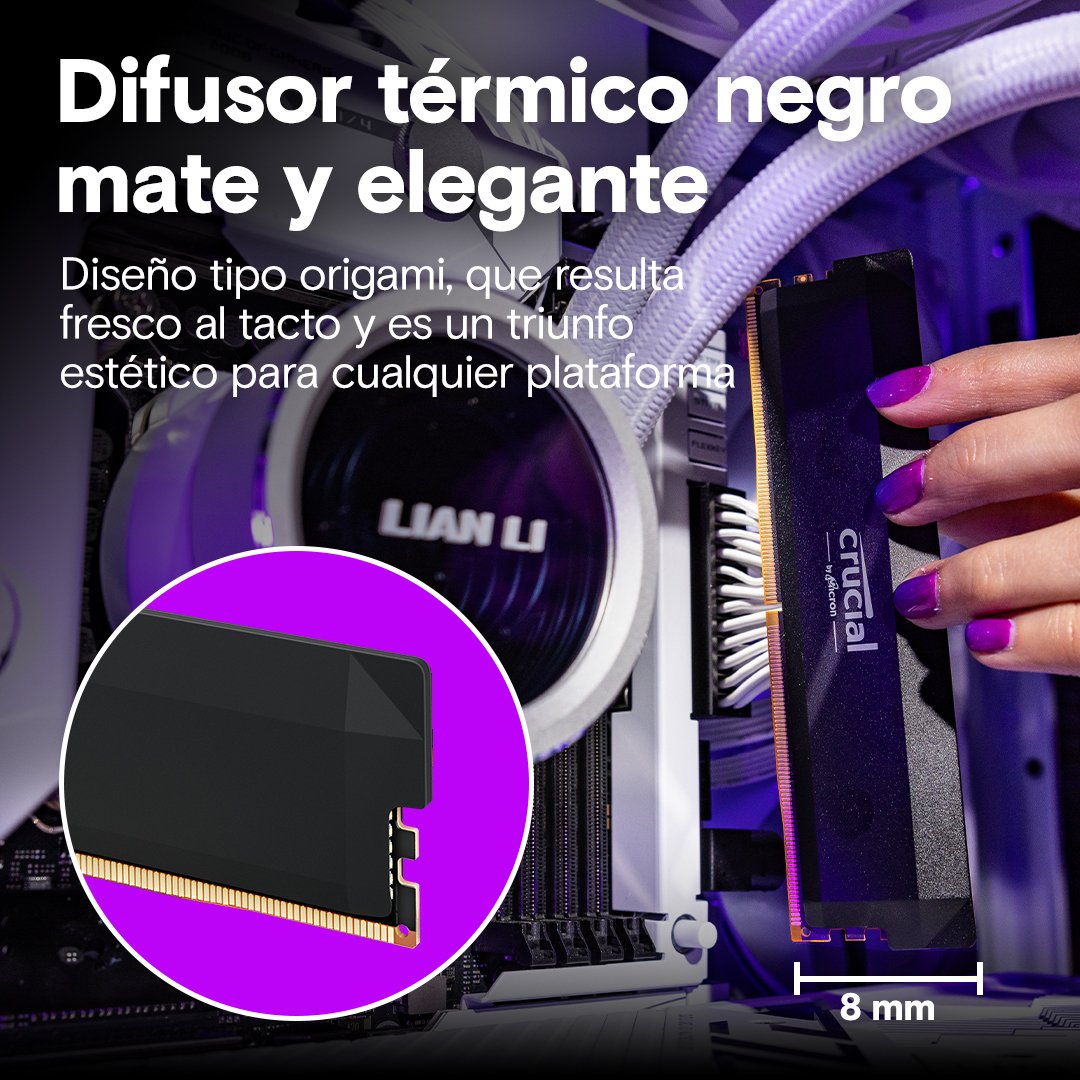 EAN 0649528946980 - Crucial Pro CP2K32G60C40U5B módulo de memoria 64 GB 2 x 32 GB DDR5 imagen 5