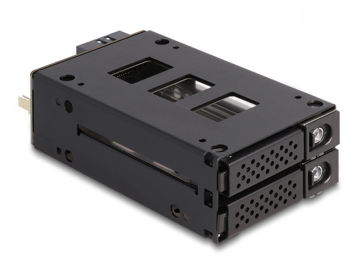 Delock 47019 Estante Móvil De Bahía Delgada Para 2 X 2.5? U.2 Nvme Ssd