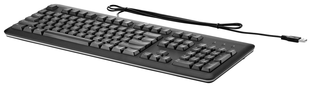 Hp Qy776aa Teclado Usb Negro