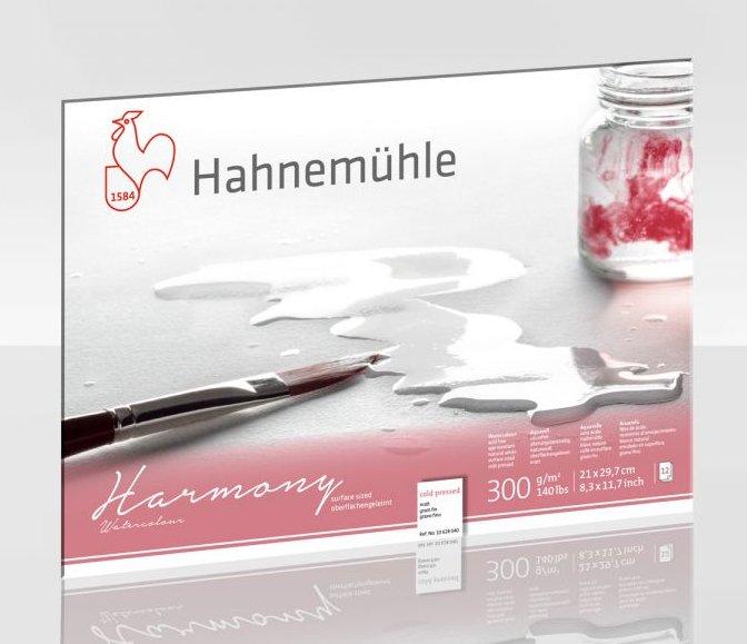 EAN 4011367106386 - Hahnemühle 10628040 papel decorativo Arte de papel 12 hojas imagen 1