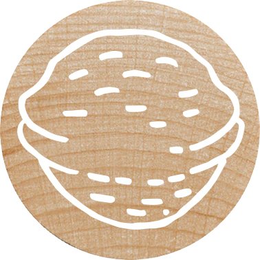 Colop Woodies Mempel-Set "Mix" Retail