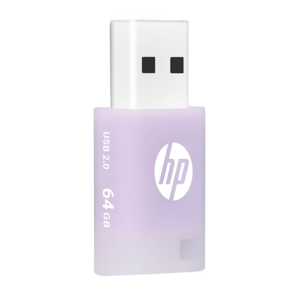 Usb 2.0 Hp 64gb X168 Lila