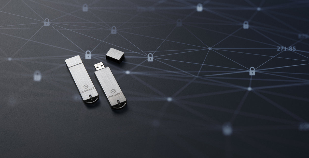 EAN 0740617255003 - Kingston Technology IronKey S1000 unidad flash USB USB tipo A 3.2 Gen 1 (3.1 Gen 1) Plata imagen 10