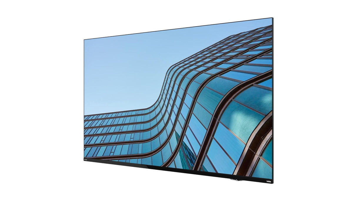 Lenovo Thinkvision E55