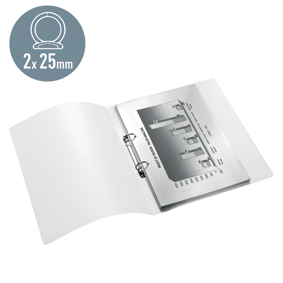 Leitz Carpeta De Anillas Din A4