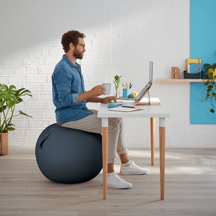 Leitz Ergo Cosy Seat Ball Gris