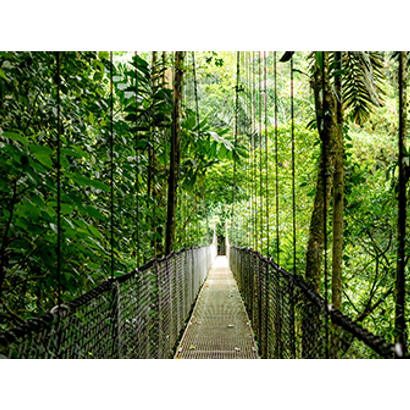 Hp Elitebook 6 G1ah 14 R5-220 Syst