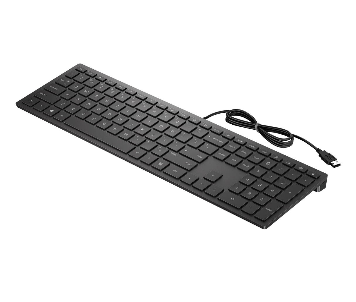 EAN 0192545457453 - HP PAV WIRED KEYBOARD 300 EN teclado Oficina USB Negro imagen 2