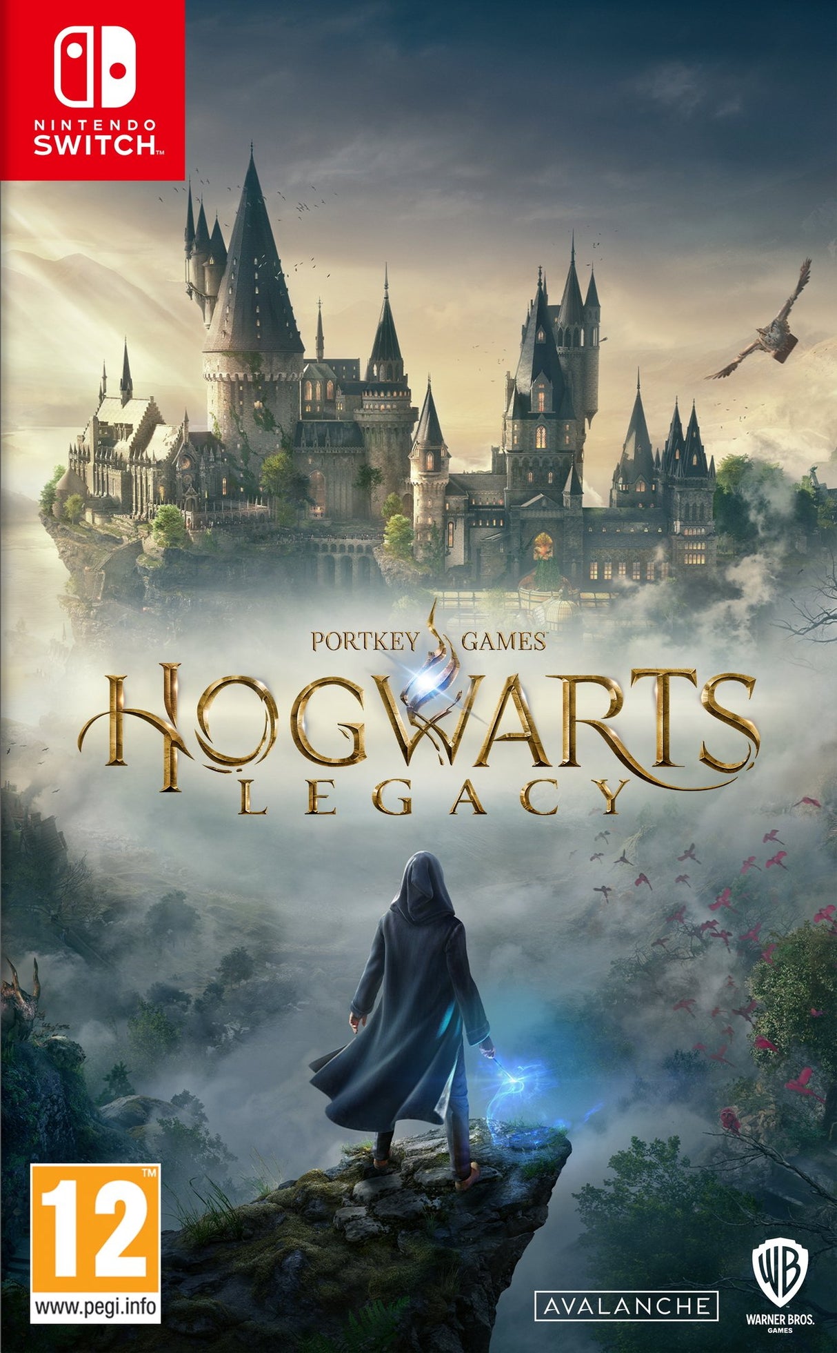 EAN 5051892238601 - Warner Bros. Games Hogwarts Legacy Estándar Inglés Nintendo Switch imagen 1