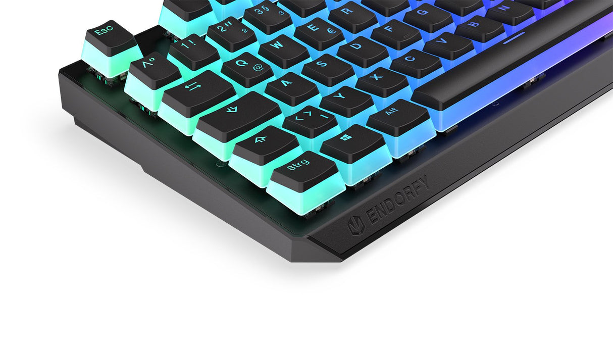 Teclado Alemán Endorfy Thock Usb Qwertz Negro