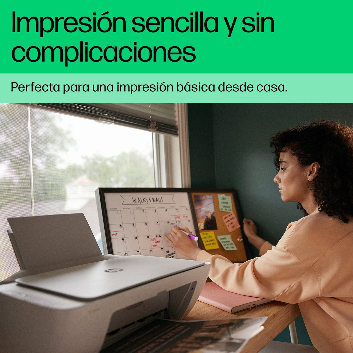 EAN 0196337820074 - HP DeskJet 2810e All-in-One Printer Inyección de tinta térmica A4 4800 x 1200 DPI 7,5 ppm Wifi imagen 7