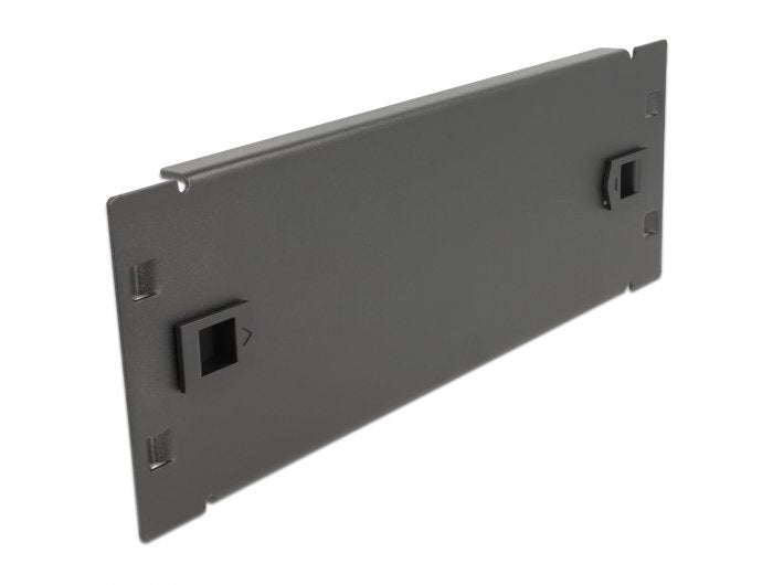 Delock 10 Gabinete De Red Tapa Ciega Sin Herramientas 2 U Negro