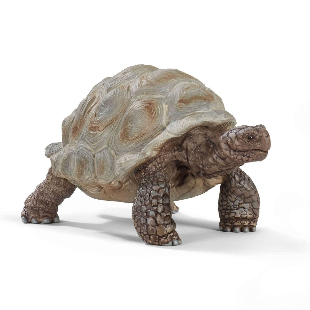 Schleich Vida Salvaje Giant Tortoise