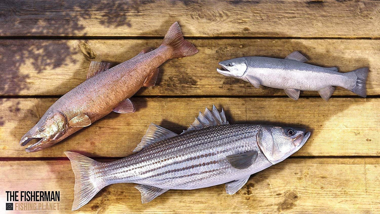 Videojuego The Fisherman Ps4 Dvd Fishing Planet Day One Edition