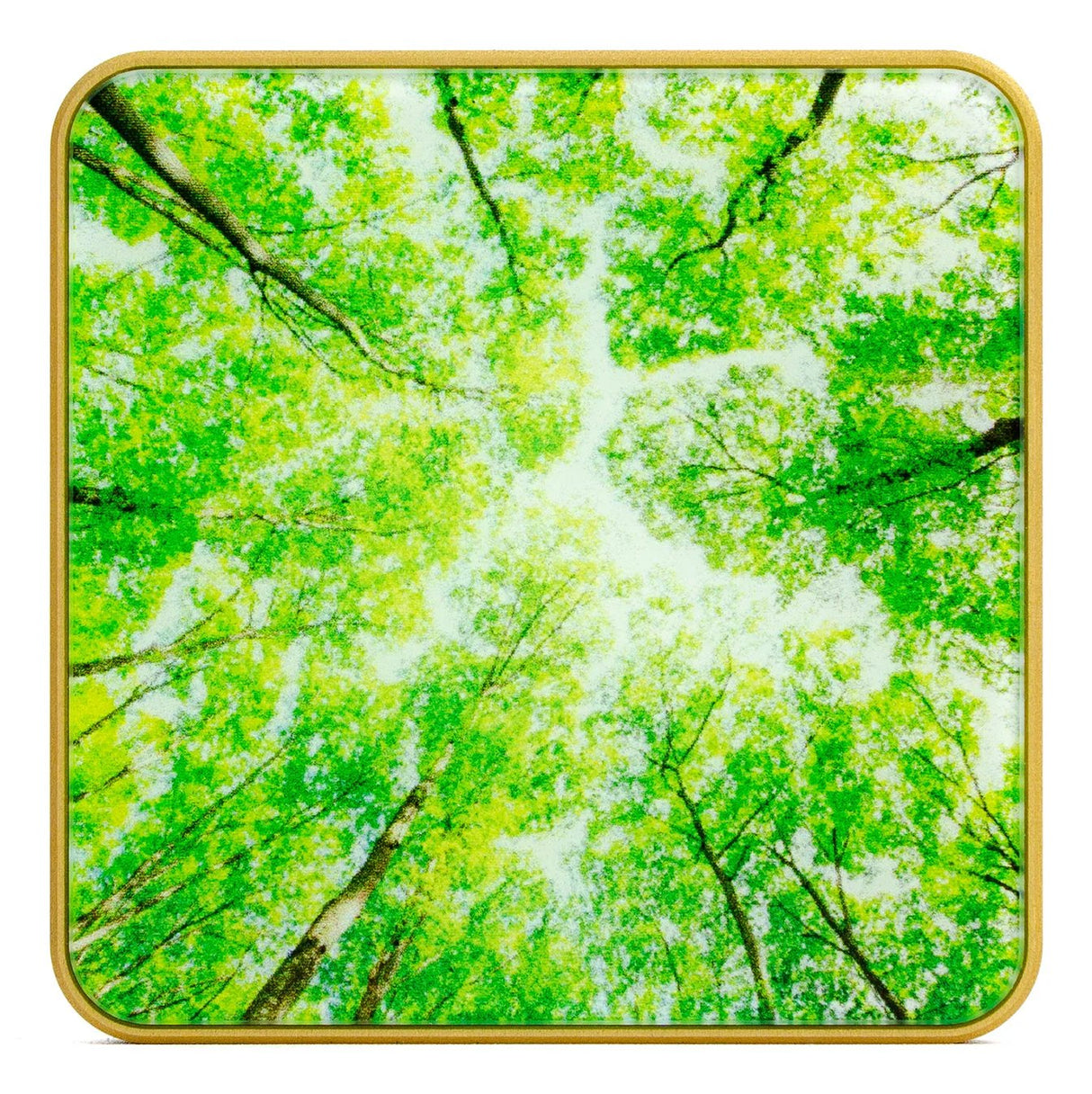 EAN 4751044060173 - AIRVALENT AIRV-TREE medidor de calidad del aire imagen 4