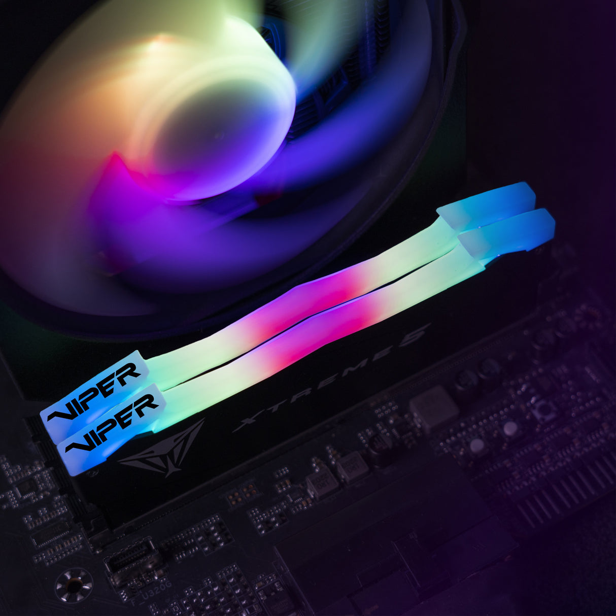 EAN 4711378425475 - Patriot Memory Viper Xtreme 5 PVXR548G80C38K módulo de memoria 48 GB 2 x 24 GB DDR5 288-pin DIMM imagen 16