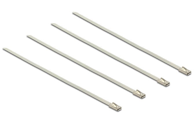 Delock 18631 Bridas De Acero Inoxidable Con 200 Mm De Largo X 4,6 Mm De Ancho (20 Unidades)