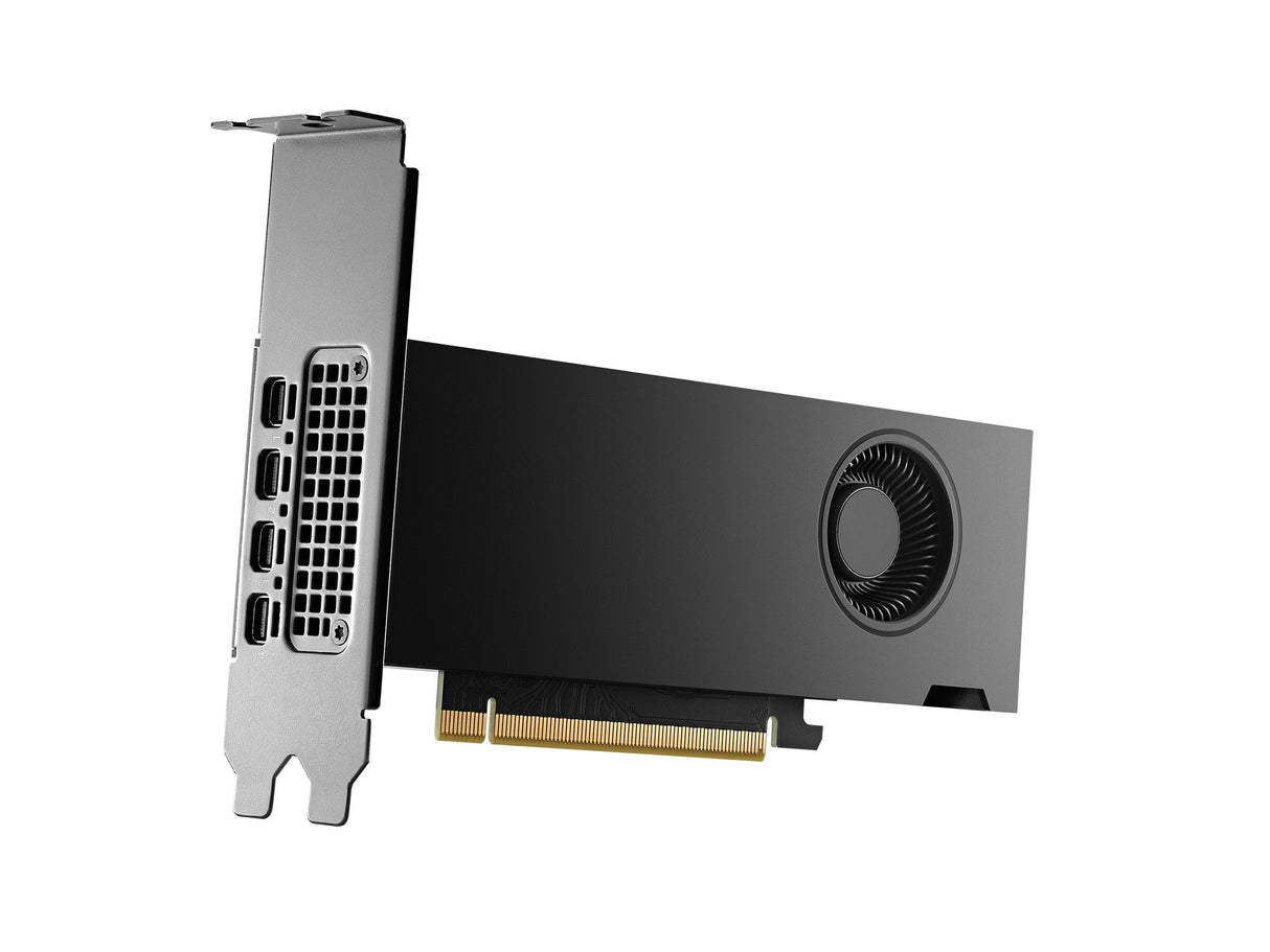 EAN 3536403398941 - PNY RTX2000 Ada NVIDIA RTX 2000 Ada 16 GB GDDR6 imagen 2