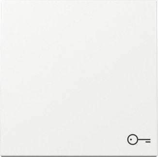 Gira 328703 Tecla Basculante Symb. Puerta System 55 Blanco Puro