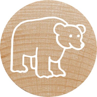 Colop Woodies Mempel-Set "Exotic Animation" Retail