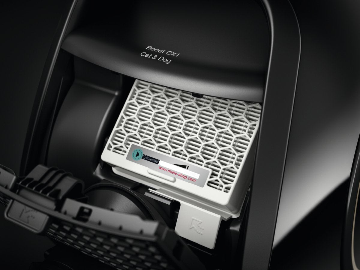 Aspirador Sin Bolsa Boost Cx1 Para Perros Y Gatos Powerline Obsidianblack Negro