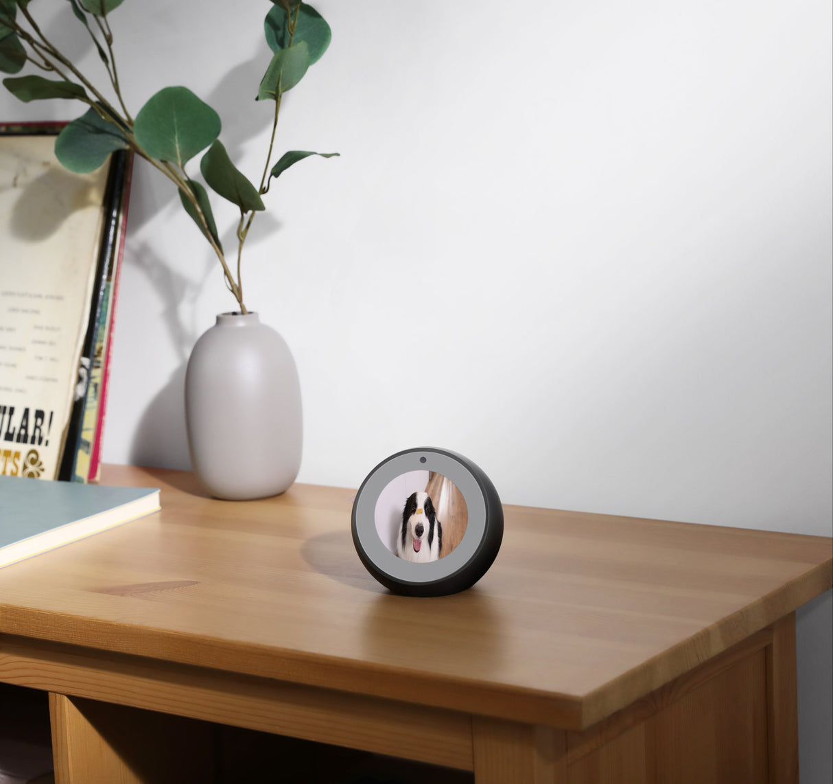 EAN 0194644020941 - Eufy E220 Almohadilla Cámara de seguridad IP 2048 x 1080 Pixeles Escritorio imagen 9