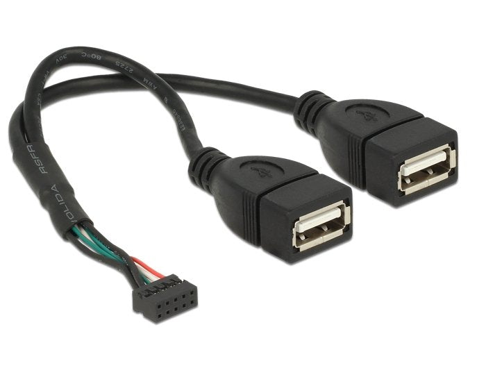 Delock 84933 Base De Conexiones Del Cable Usb 2.0 Hembra De 10 Contactos 2,00 Mm > 2 X Usb 2.0 Tipo-A Hembra 20 Cm