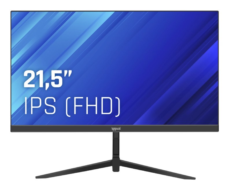 Monitor Iggual 21,5" Ips Fhd 100hz Vga Hdmi Dp Igg320037