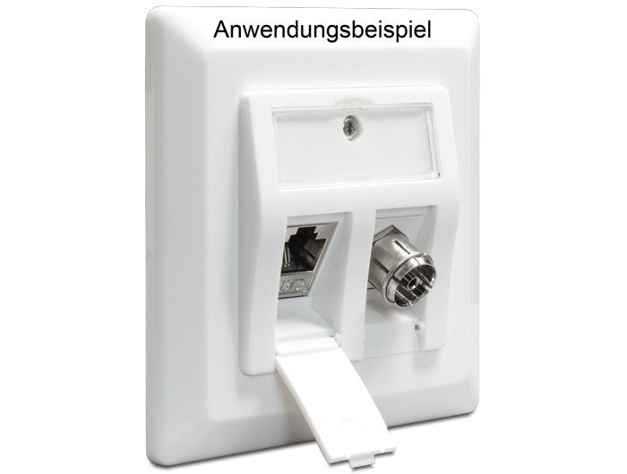 Delock Keystone Roseta 2 Puertos Keystone