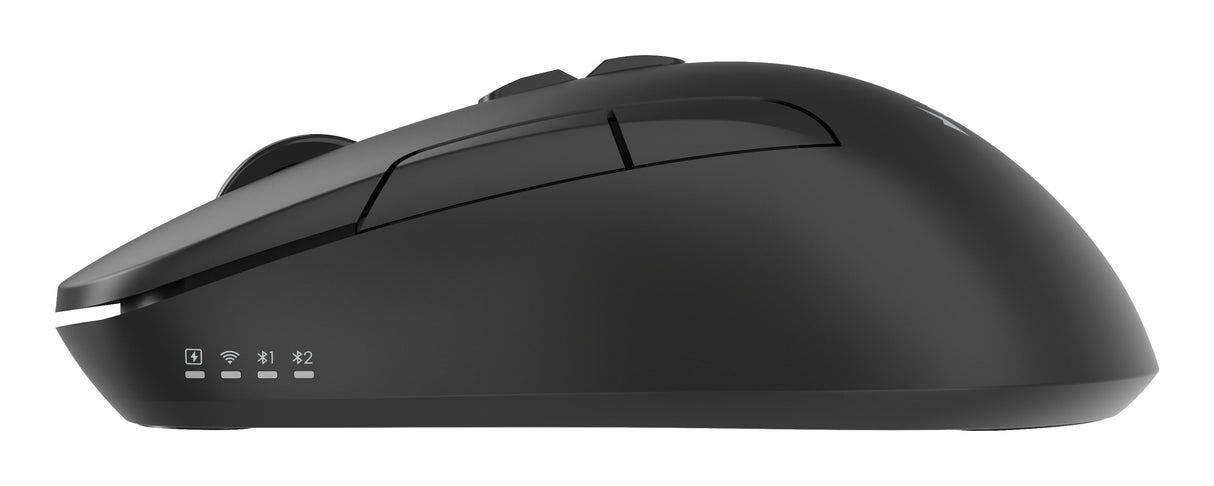 Gembird Dual-Mode 7-Button Wireless Mouse 2.4g + Bt Black