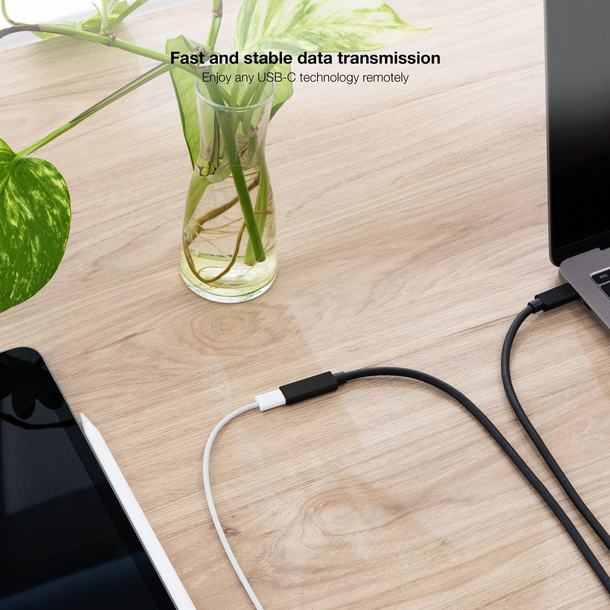 Cable Usb 3.2 Gen2x2 100w 4k/60hz Usb-C M/H 2 M