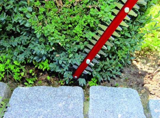 Cortasetos Einhell Ge-Eh 6560 (Rojo/Negro, 650 Vatios) 3403330