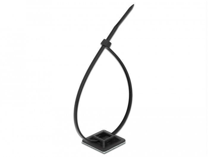 Delock Soporte 25 X 25 Mm Con Brida 300 X An 4,8 Mm Negro 10 Piezas