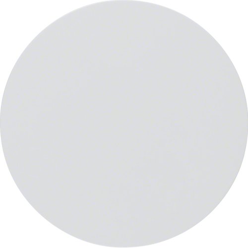 Berker 16202089 Tecla Basculante R.1 R.3 Blanco Polar, Brillante