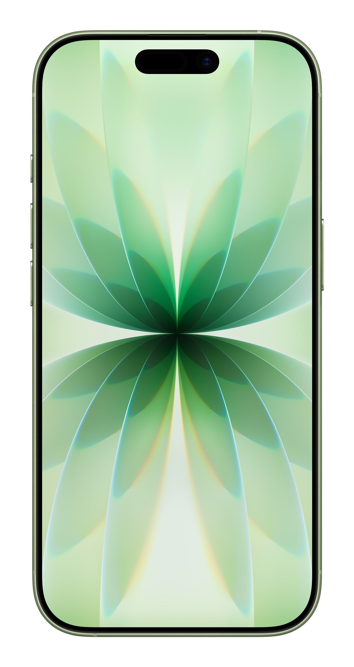EAN 195950645309 - Apple iPhone 17 16 cm (6.3") SIM doble iOS 26 5G USB Tipo C 512 GB Salvia imagen 2