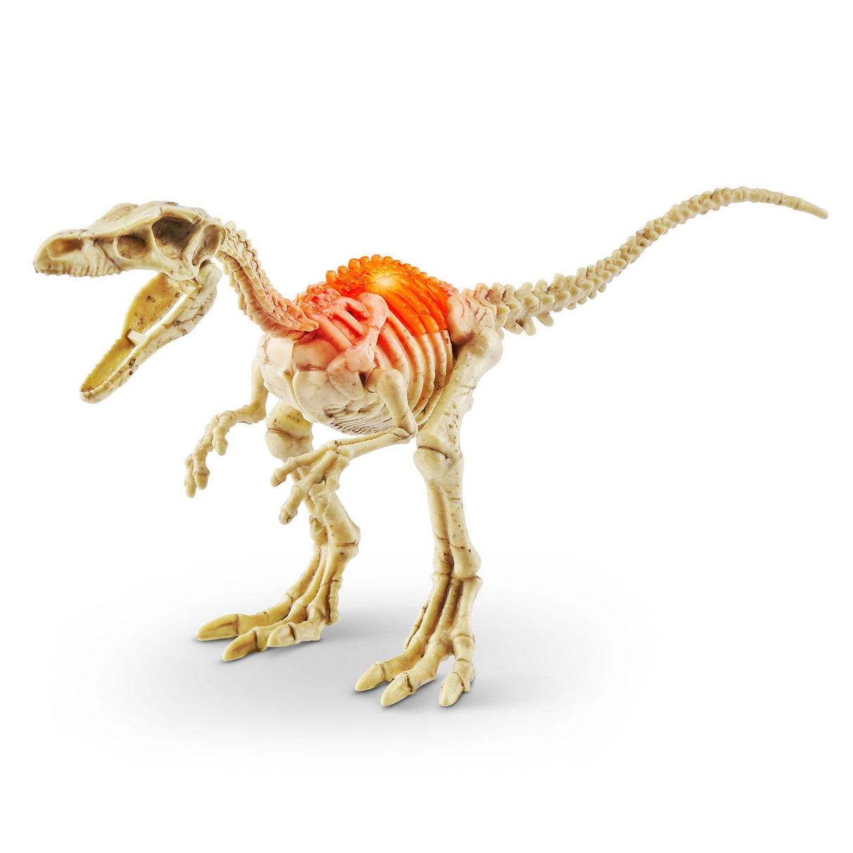 EAN 4894680031821 - Robo Alive 71115 juguete y kit de ciencia para niños imagen 6