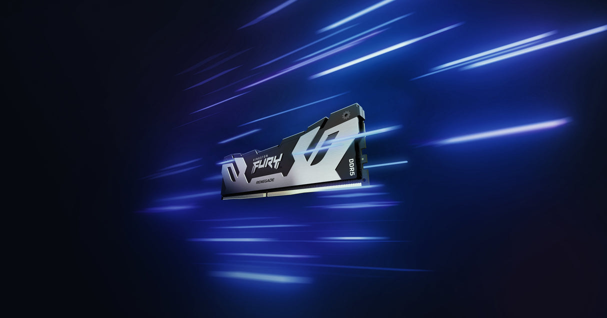 Kingston Fury Kf572c38rs-24, Memoria Ram Plateado/Negro