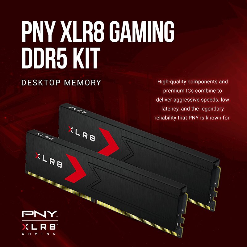 EAN 0751492790657 - PNY MD32GK2D5600036XR módulo de memoria 32 GB 2 x 16 GB DDR5 imagen 4