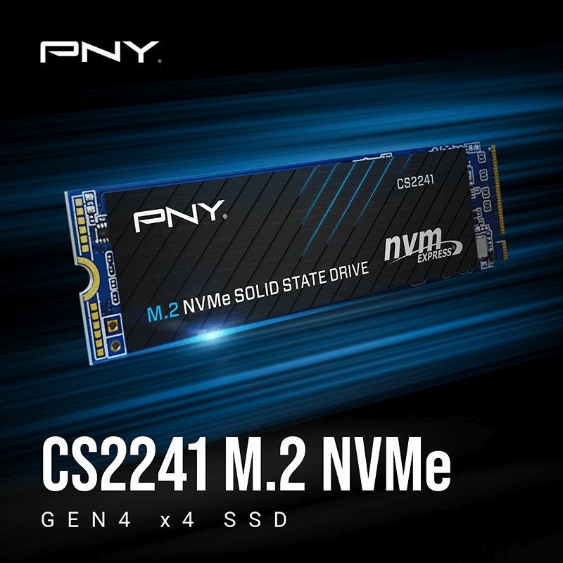 Pny Cs2241 2 Tb (Pcie Gen4 X4) M280cs2241-2tb-Rb