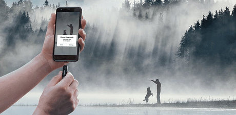 EAN 619659177638 - SanDisk Ultra Dual Drive Go unidad flash USB 256 GB USB Type-A / USB Type-C 3.2 Gen 1 (3.1 Gen 1) Negro imagen 7