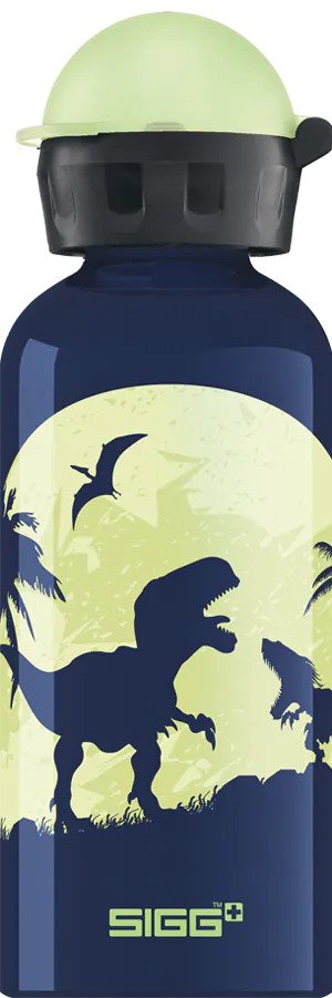 Sigg Botella Para Beber Kbt Glow Moon Dinos De 0,4 Litros 8543.00