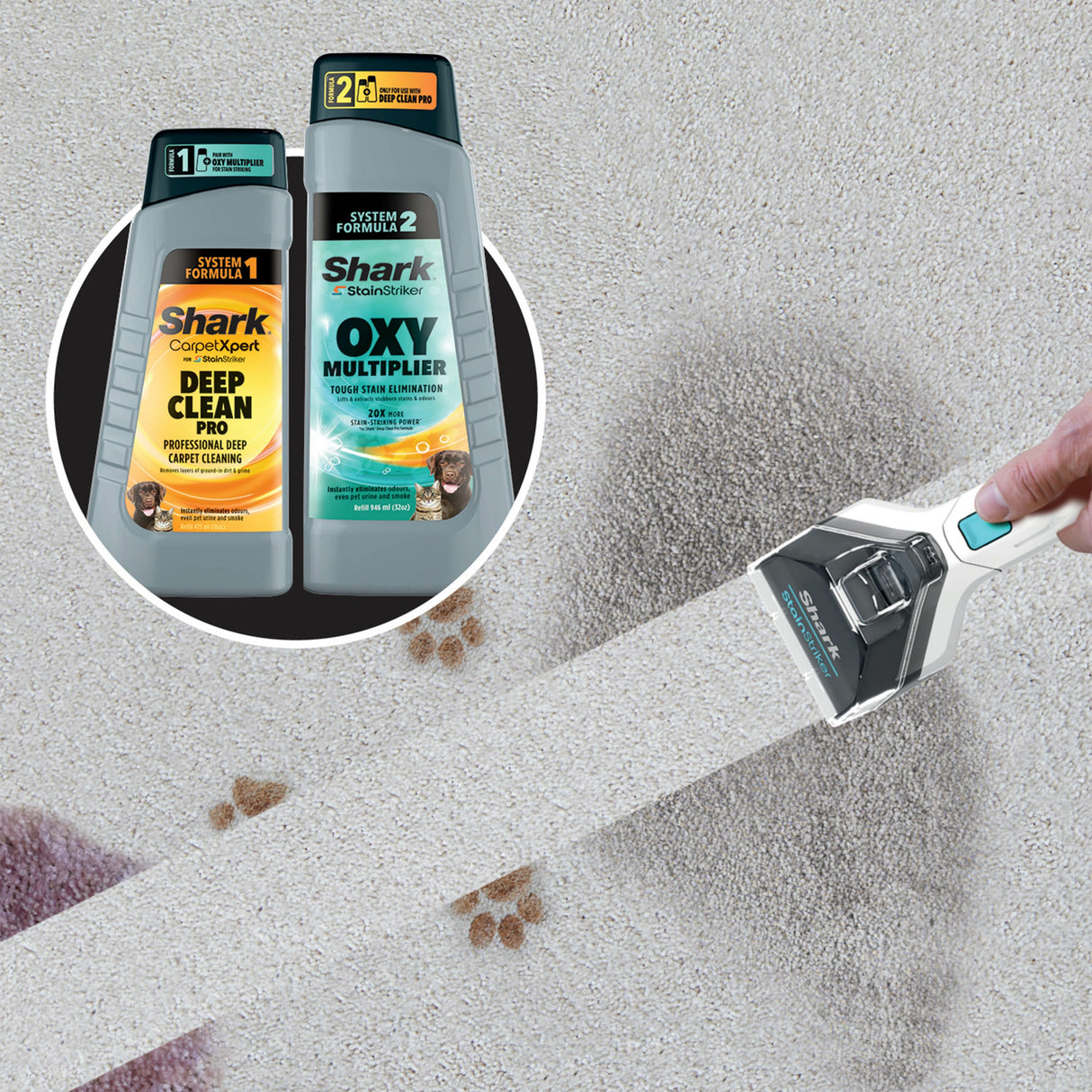 EAN 0622356294638 - Sharkclean PX200EUT máquina de limpieza de alfombras De mano Profundo / interina Blanco imagen 5
