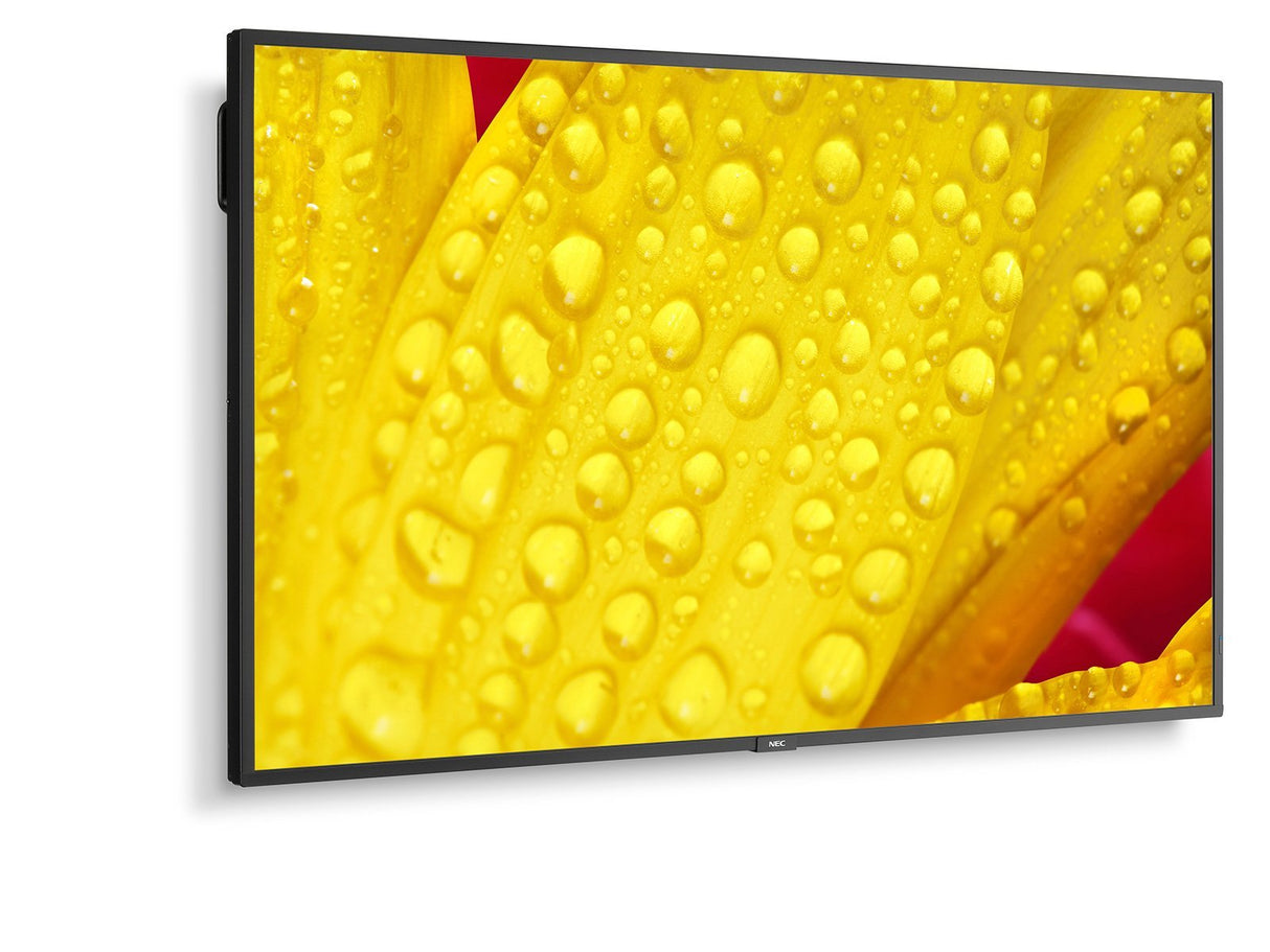 EAN 5028695127487 - NEC MultiSync M551-2 Diseño de quiosco 127 cm (50") LED 4K Ultra HD Negro Procesador incorporado imagen 15