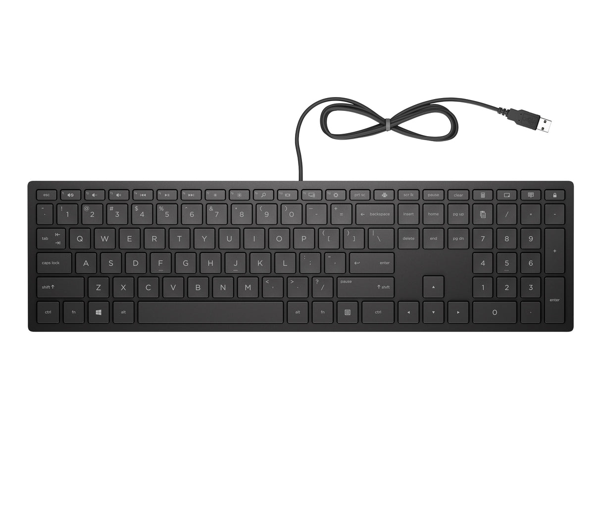 EAN 0192545457453 - HP PAV WIRED KEYBOARD 300 EN teclado Oficina USB Negro imagen 1