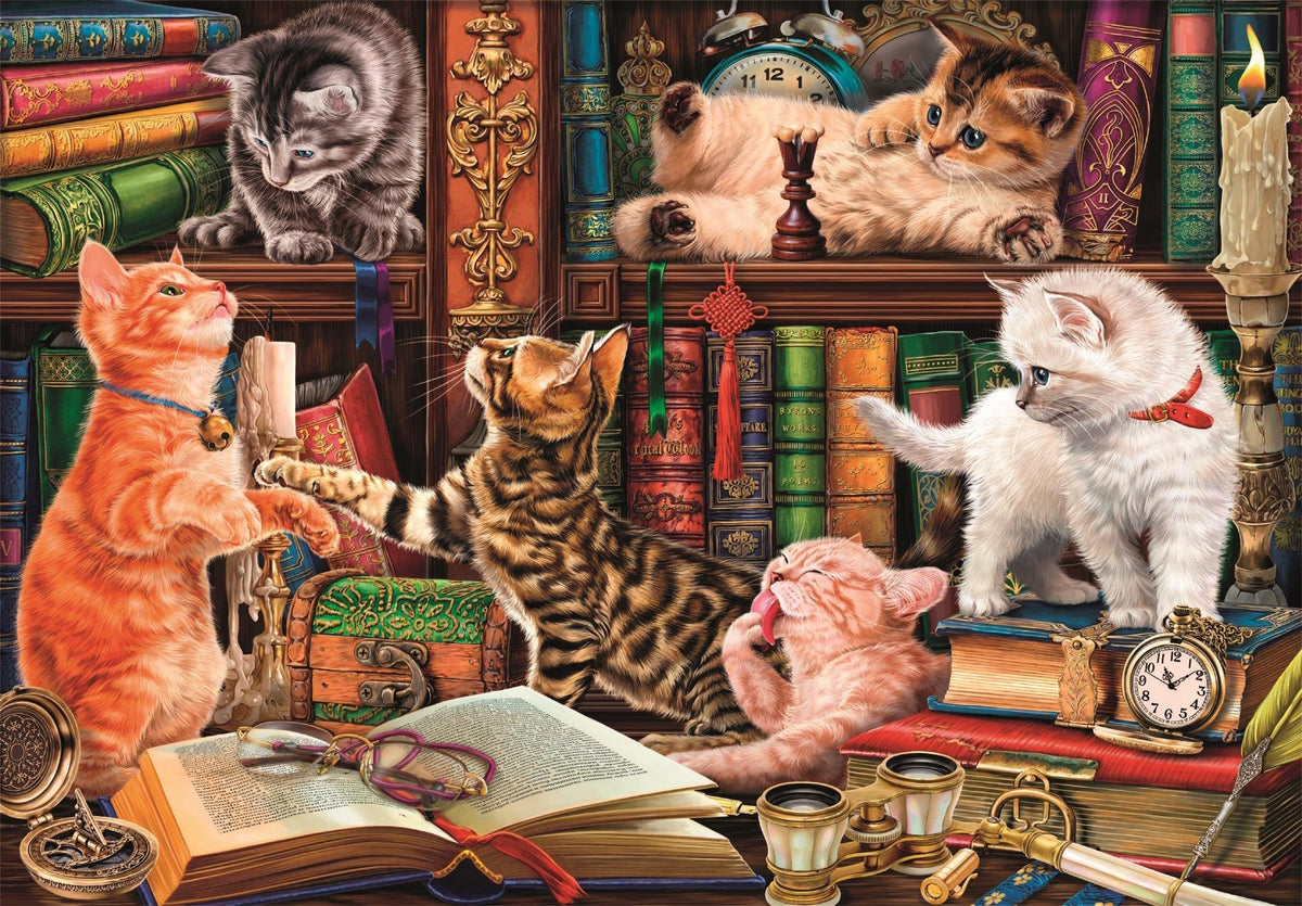 Puzzle Curious Whiskers 1000pzs