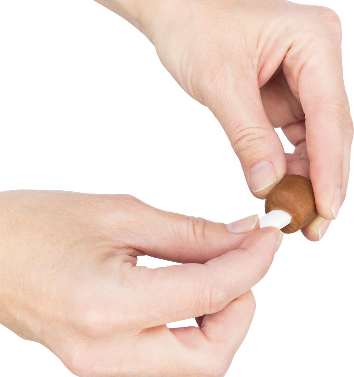 Trixie 25841 Premio Y Golosina Para Perro Y Gato Snacks 100 G