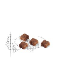EAN 3182550707329 - Royal Canin Mother & Babycat alimento seco para gatos 4 kg Adulto Aves imagen 2