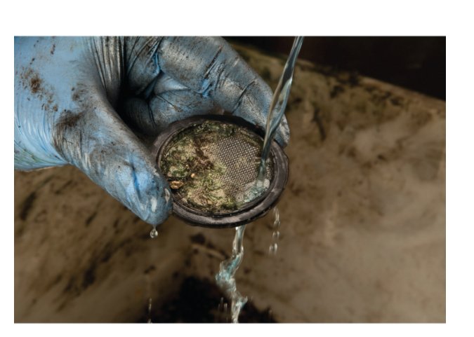 Dewalt Dcgg571m1-Qw Pistola Engrasadora Xr 18v Con 1 Batería Li-Ion 4, 400 W, Multicolor