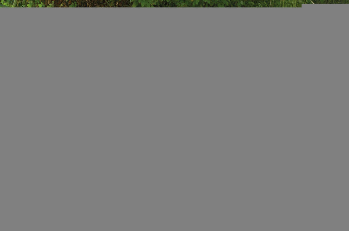 EAN 4006942894000 - Lena EcoActives SM04216 imagen 6