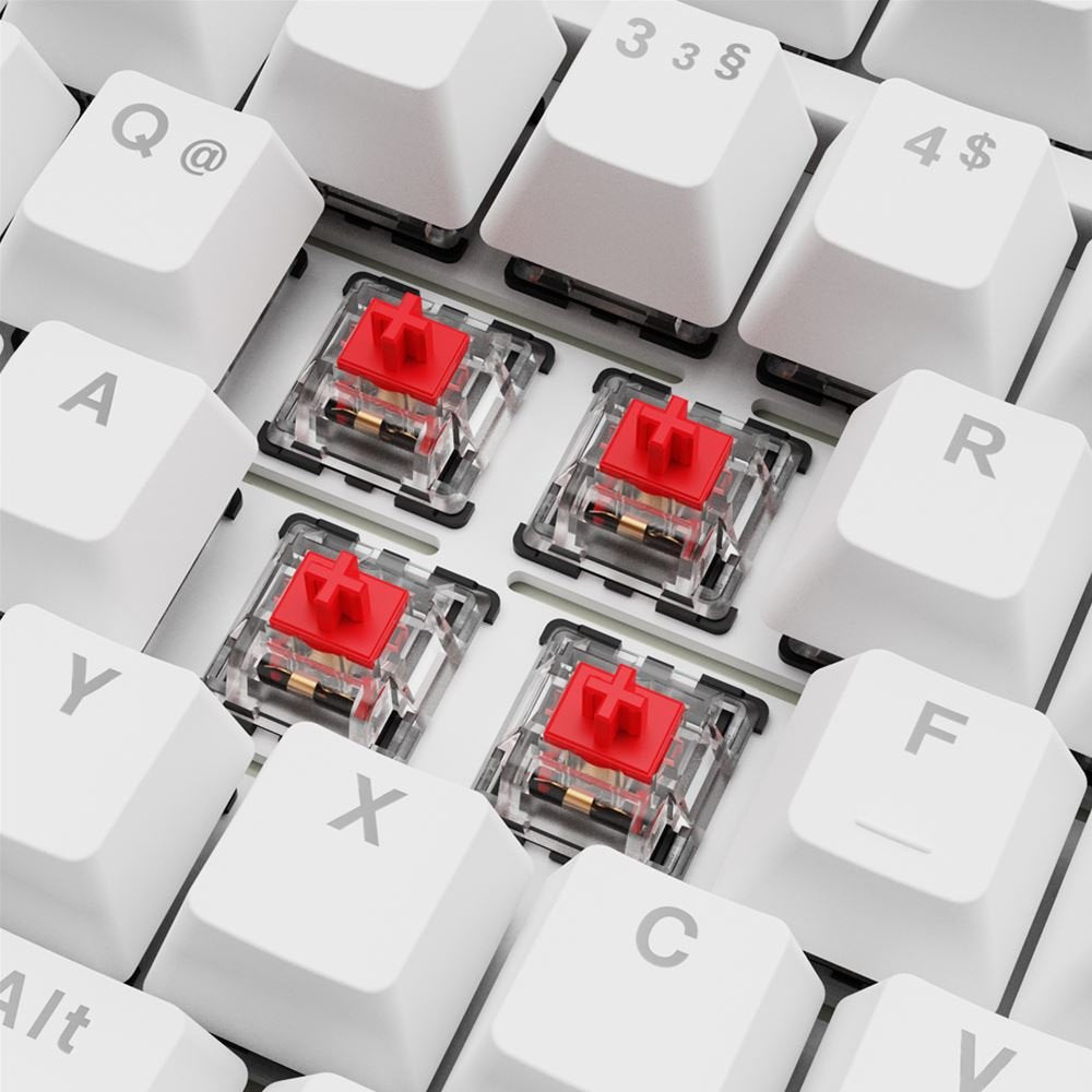 EAN 4044951041817 - Sharkoon SGK25 teclado Hogar USB QWERTZ Alemán Blanco imagen 3
